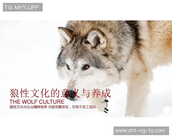 德国足球队队歌的历史渊源与文化意义探讨
